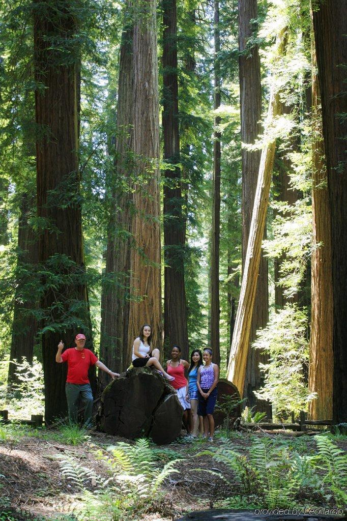 Western Humboldt House 3*